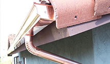 wildlife-proofing-gutters-bird-squirrel-rodent-guards Experts in Nichols